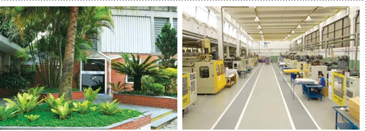 Linha do Tempo